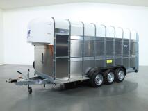 2026 Ifor Williams TA510 16x7 (497x178x212cm) Dubbeldeks Schapentrailer/ Veetrailer VT1087 | Aanhangwagen | Veetrailer